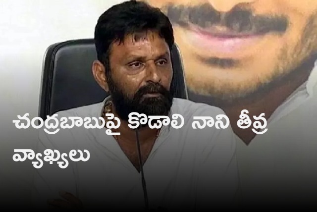 Kodali Nani says TDP Chandrababu Naidu is the reason for Guntur stampede incident
