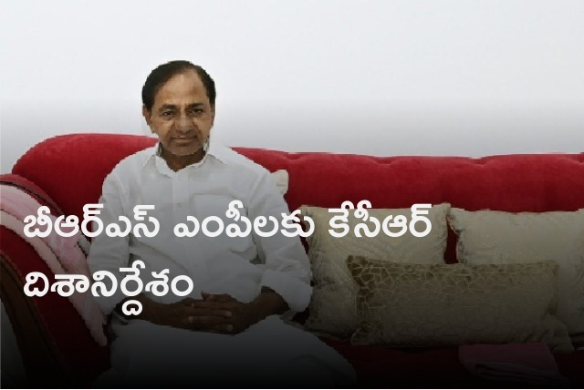 CM KCR held meeting with BRS MPs ahead of Parliament Budget Sessions