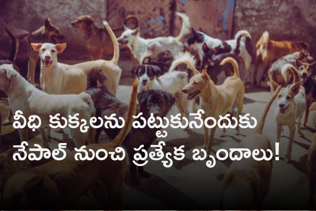 Nepal expert teams to catch stray dogs in Telangana 