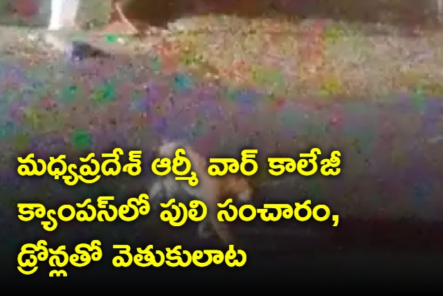 Tiger strays into Army War College campus in Mhow