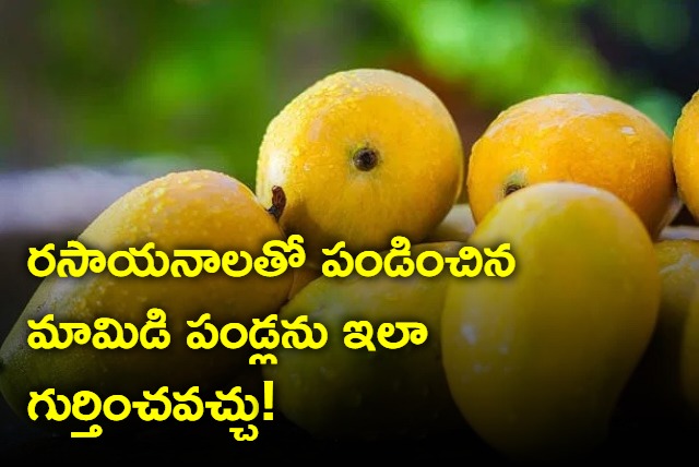 How to identify mangoes ripened with chemicals in the market know through these tips