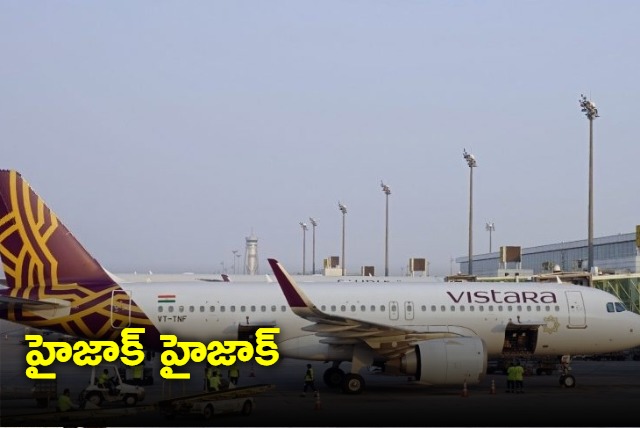 Man arrested for shouting hijack before Mumbai Delhi Vistara flight take off