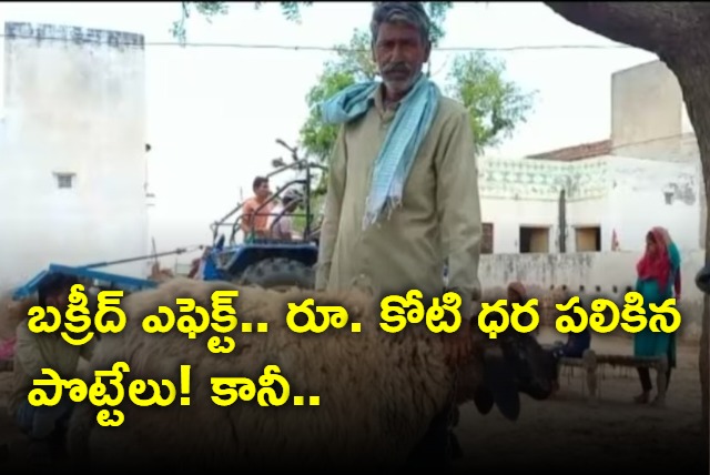 Rajasthan man refuses Rs 1 crore offer for lamb ahead of Eid