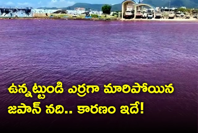 River in Nago City Japan turns red after food colouring leak