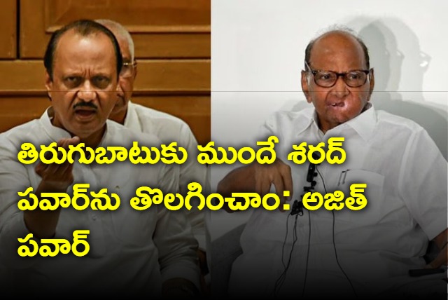 Removed Sharad Pawar As NCP National Chief Says Ajit Pawar