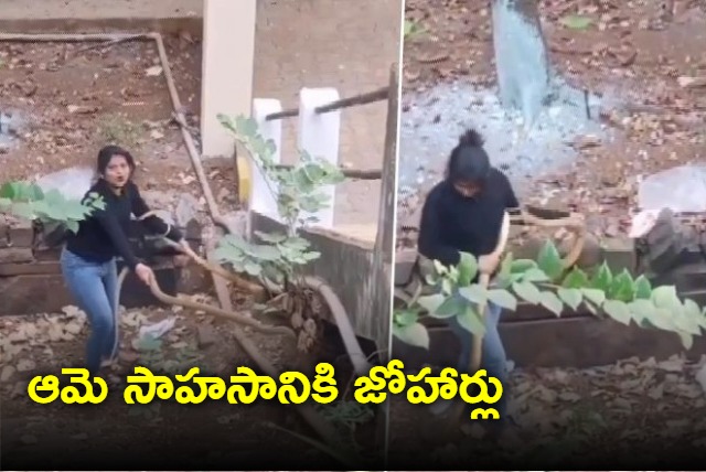 Woman catches two snakes with bare hands video sparks debate