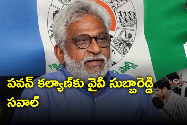 YV Subbareddy challenges Pawan Kalyan on rushikonda