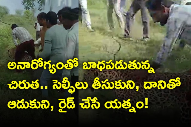 Sick Leopard Wanders Into Madhya Pradesh Village