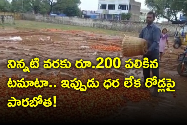 Tomato prices dips after three months