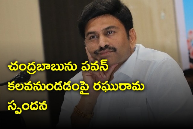 Raghu Rama Krishna Raju opines on Pawan Kalyan meeting Chandrababu tomorrow
