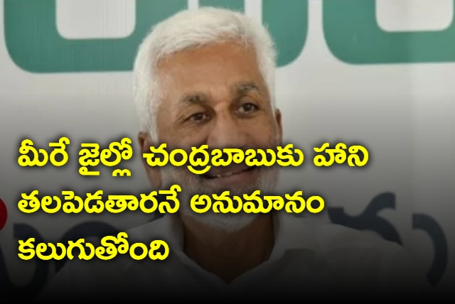There is a suspicion that you will harm Chandrababu in jail says Vijayasai Reddy