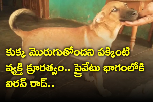 Mans cruelty on Barking dog with a rod on the private part