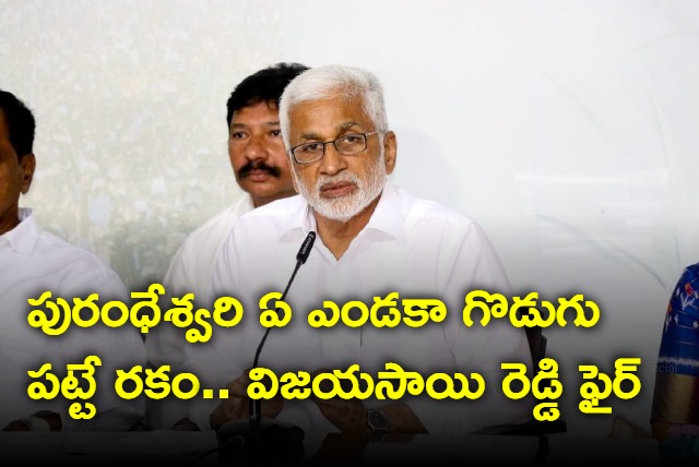 YCP Leader VijayaSai Reddy Fires On Purandheswari