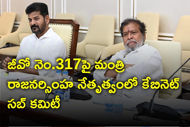 Cabinet Sub Committee on GO317 as Damodara Rajanarsimha will chair the committee