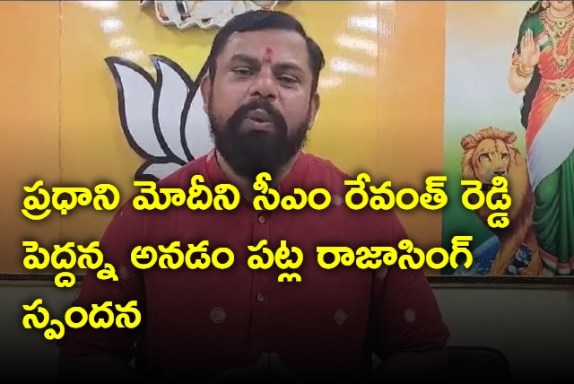 Raja Singh responds on CM Revanth Reddy calling PM Modi as big brother