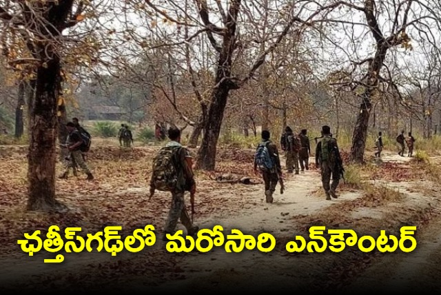 Naxalite killed in encounter with security personnel in chhattisgarh bijapur