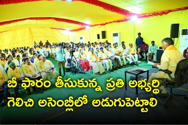 Chandrababu wish every TDP candidate should win in upcoming elections
