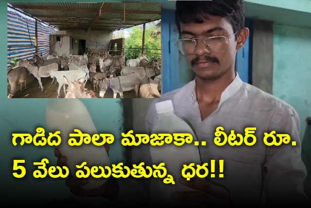 gujarat farmer donkey business rakes in rs 3 lakh monthly