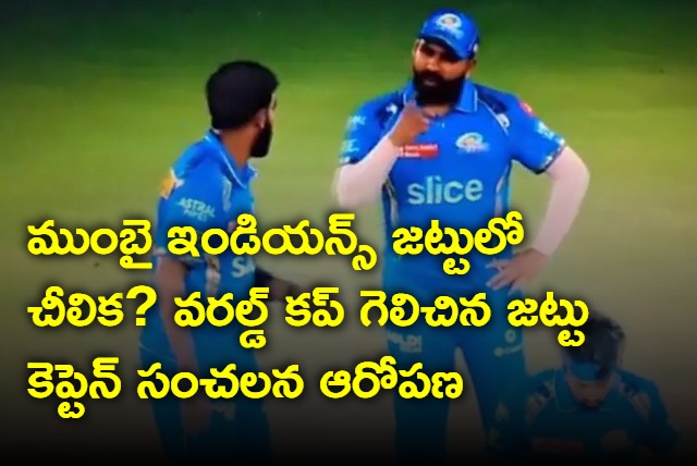 division in mumbai indian team says australian world cup winning captain