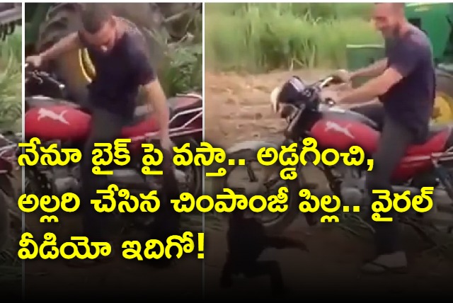 I too come on bike A chimpanzee doing mischief Here is the viral video