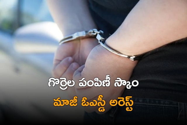 Former OSD arrested in sheep distribution scam