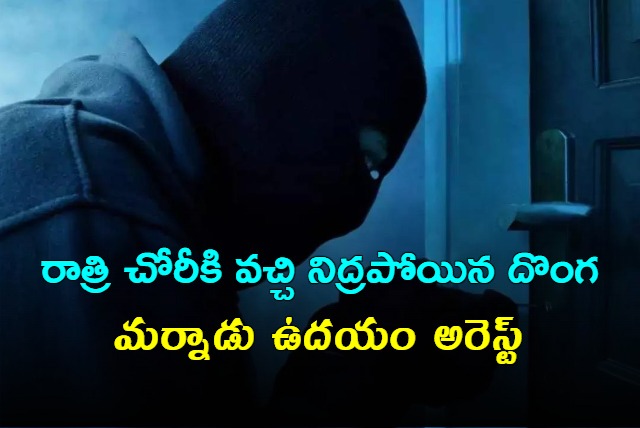 UP Thief Falls Asleep During Robbery Arrested Next Morning