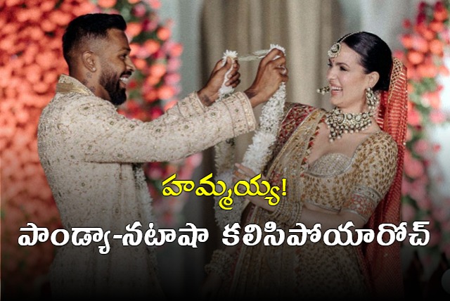 Natasa restores wedding images with Hardik Pandya amid separation rumours 