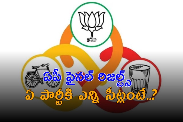 AP Elections 2024 Final Results