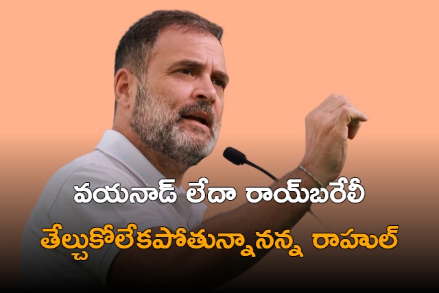 Rahul Gandhi in delimma to give up one Lok Sabha seat