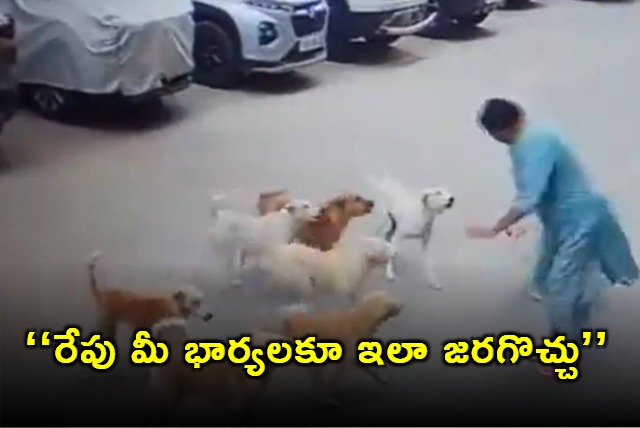 woman attacked by stray dogs in rayadurgam husbands appeal citizens to not feed stray dogs
