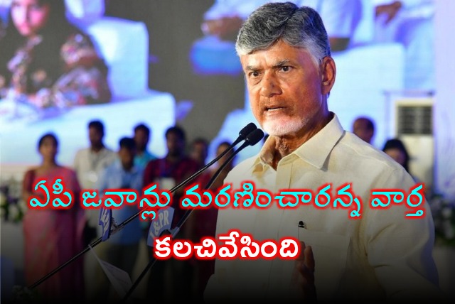 CM Chandrababu reacts on three AP jawans died on Ladakh mishap 