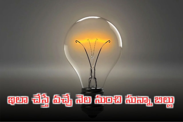 Telangana Govt Good News For People Who Didnt Getting Zero Bills