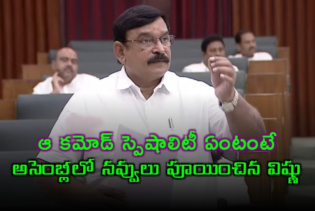 BJP MLA Vishnu Kumar Raju explains about luxury commode in Rushikonda Palace