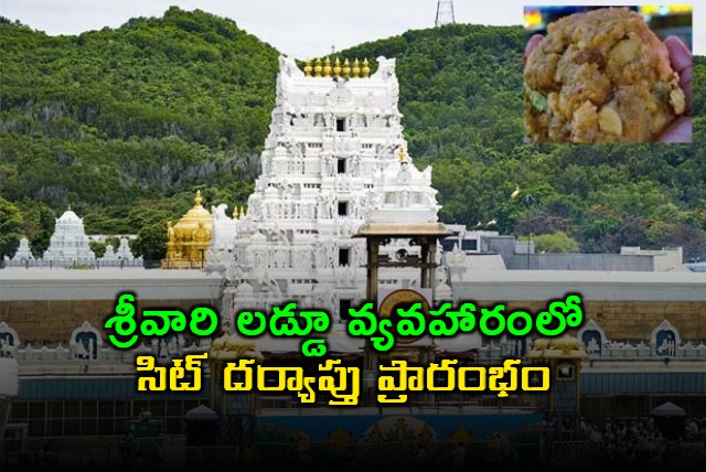 sit initiated investigation into tirumala laddu adulterated ghee case