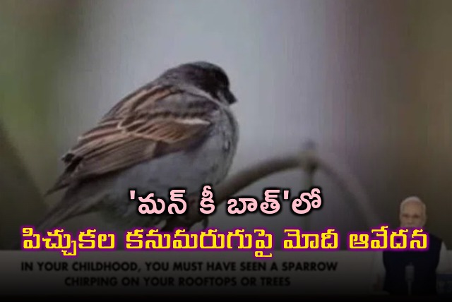 Sparrows Gone Away From Us says PM Modi Due To Increasing Urbanization in Mann Ki Baat