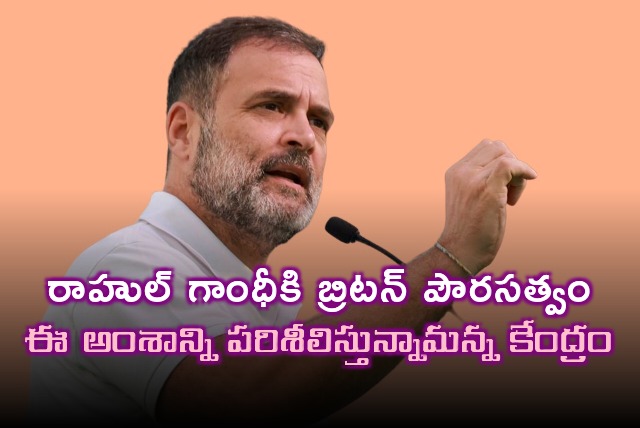 Allahabad HC asks Centre to decide on plea over Rahul Gandhi citizenship by December 19