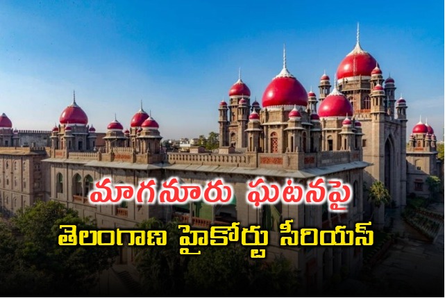 Maganur School Food Poison Case High Court Fires On Government