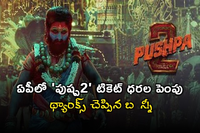 Pushpa 2 Ticket Price Hiked in Andhra Pradesh Allu Arjun Says Thanks to CM and Deputy CM