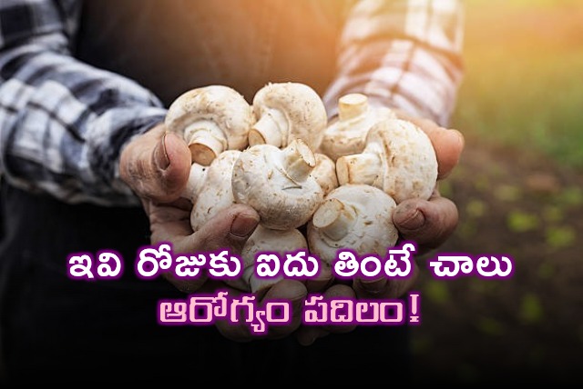 Researchers says eating 5 mushrooms a day will reduce heart desceases and cancer risk