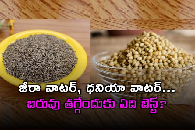 jeera water or coriander seeds water which is better for weight loss