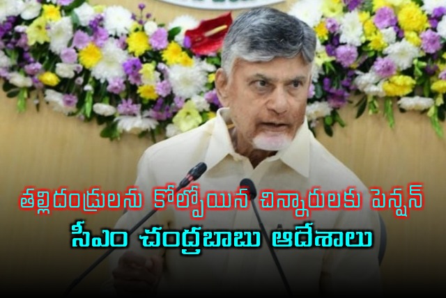 CM Chandrababu orders to disburse pensions to orphan children