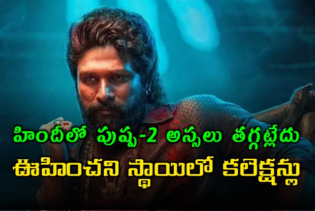 PUSHPA 2 sets another record in Bollywood and Saturday it collects above Rs 46 Crores