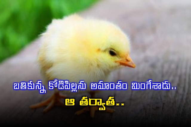 Chhattisgarh Man Died After Swallowed the Surviving Chick