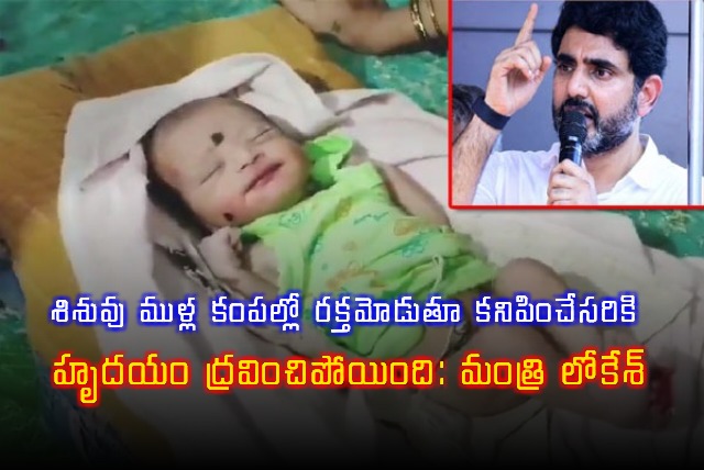 Minister Nara Lokesh Tweet on Newborn Baby Incident in Jammalamadugu