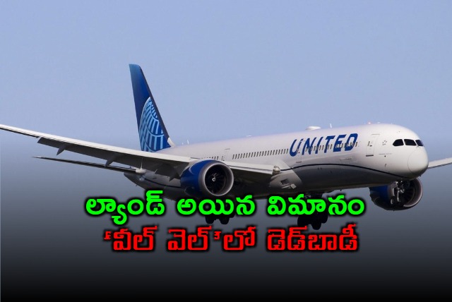 A dead body was found in the wheel well of a United Airlines jetliner in Hawaiian island of Maui