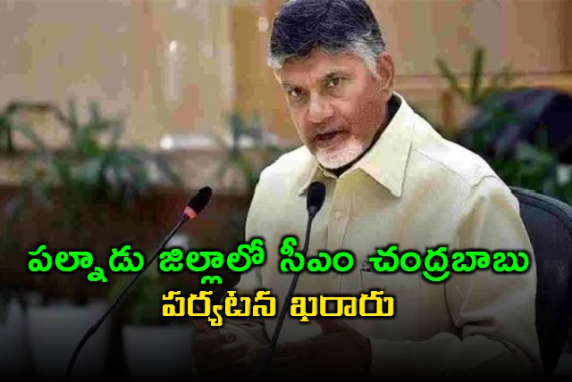 cm chandrababu naidu to visit palnadu district on 31st december