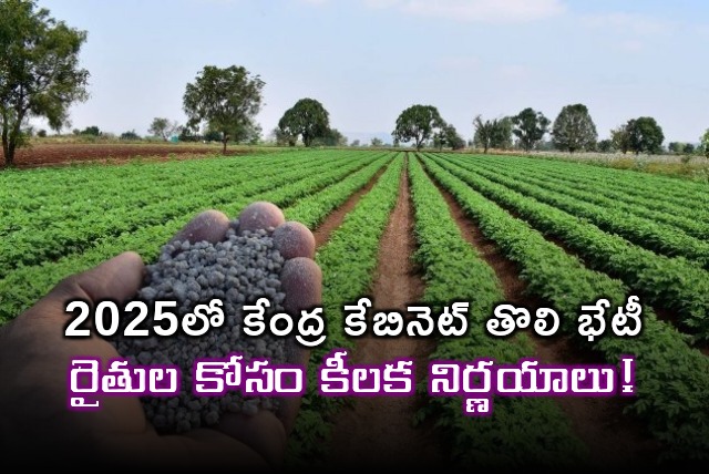 Cabinet approves continuation of Fasal Bima Yojana