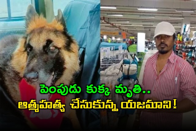 Tragic Incident in Bengaluru Man Found Dead After Losing Beloved Pet Dog
