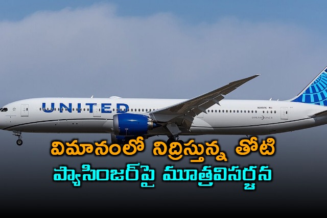 A man has been banned by United Airlines after he urinated on another passenger