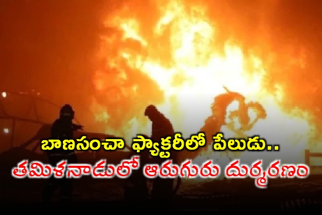 6 killed in chemical blast at firecracker unit in Tamil Nadu